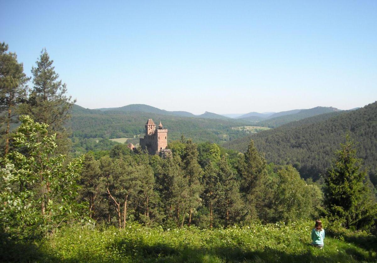 Ferienwohnung "Monte Noble" Suedpfalz Erlenbach  Exterior photo
